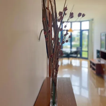 Appartement Da Orada T1 1- H004 Marina De Albufeira *